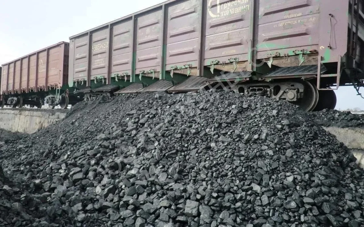 Қырғызстан көмір экспортына тыйым мерзімін ұзартуға ниетті