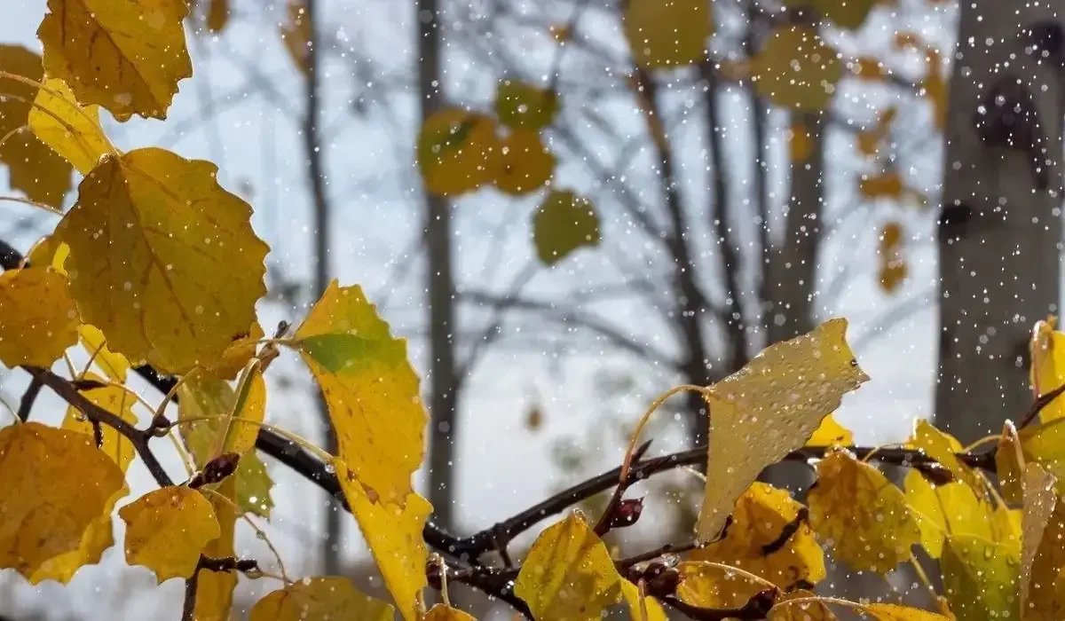 Бүгін найзағай ойнап, жаңбыр жауады