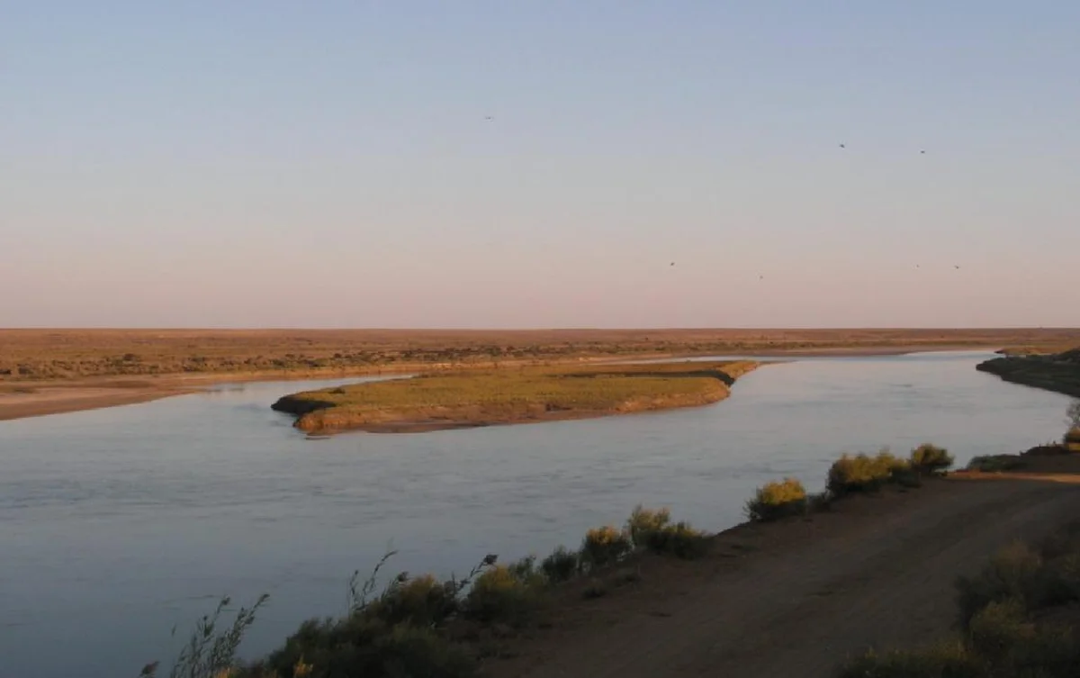 Қызылорда облысында қайраңда қалған балықтар құтқарылып жатыр