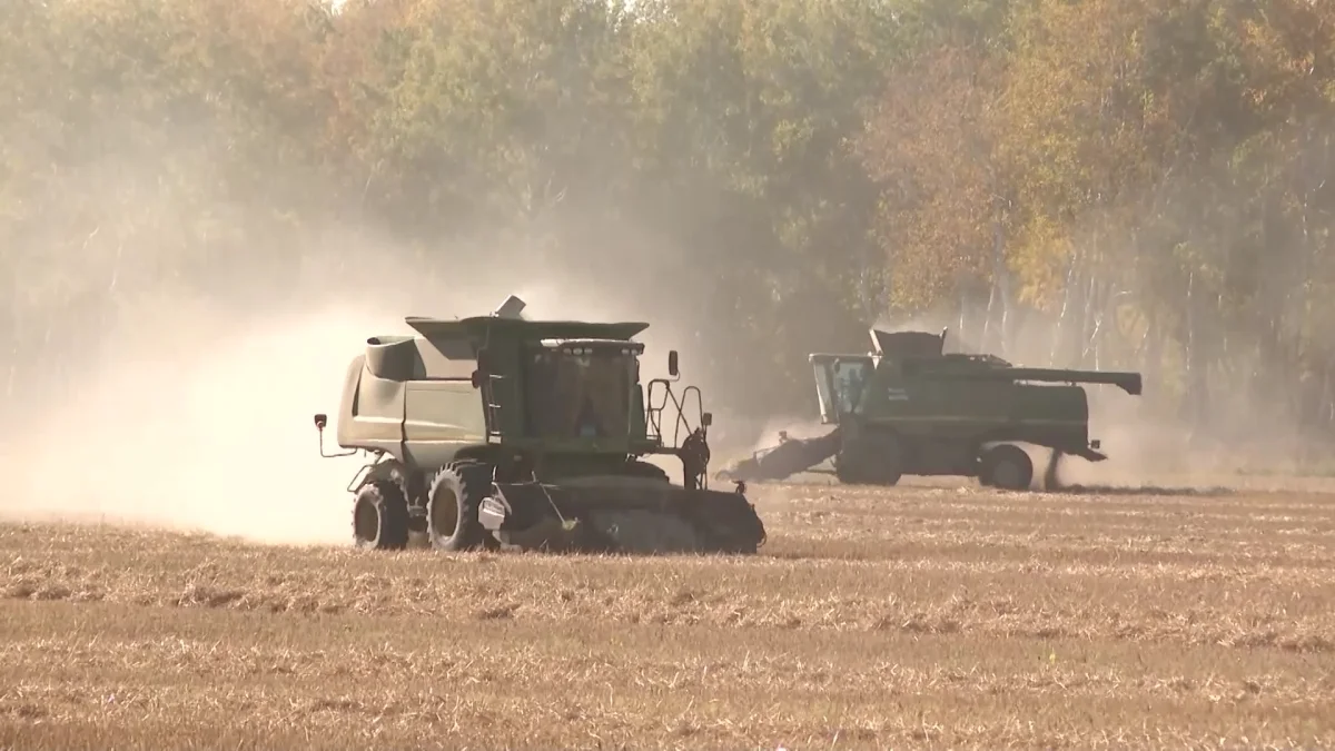 «Шаруаларға субсидияны уақытылы бермеу созылмалы дертке айналды», - депутат
