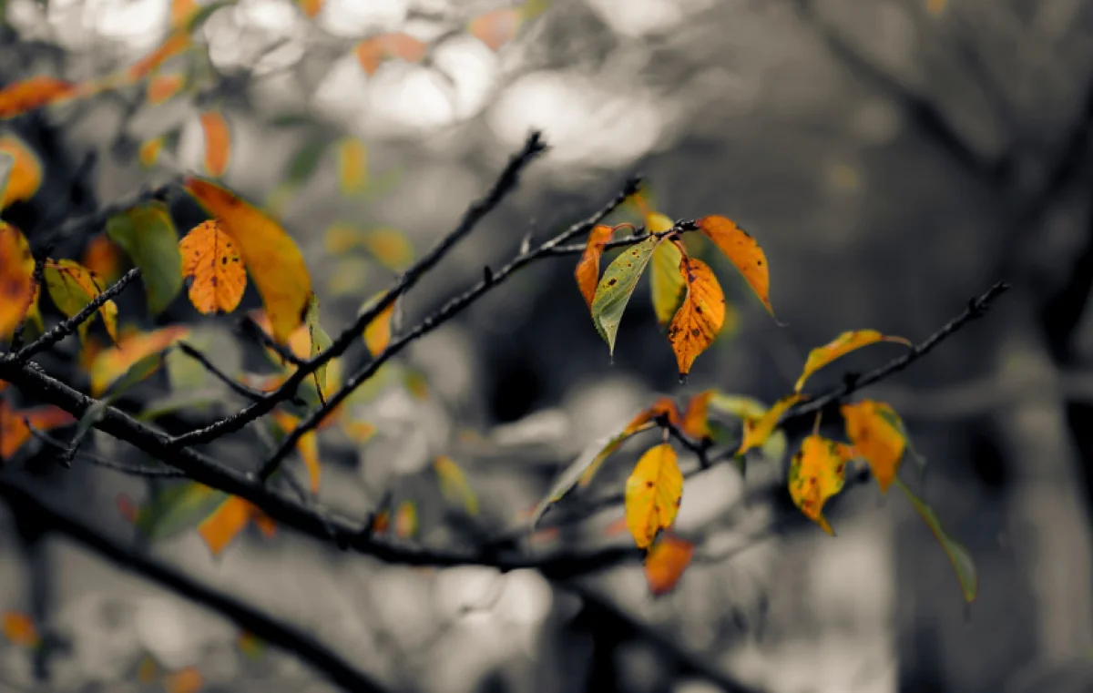 Похолодание и осадки идут в Казахстан