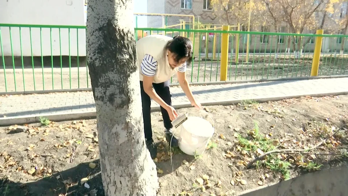 «AMANAT» партиясының «Таза бейсенбі» экологиялық акциясы үздіксіз жалғасуда