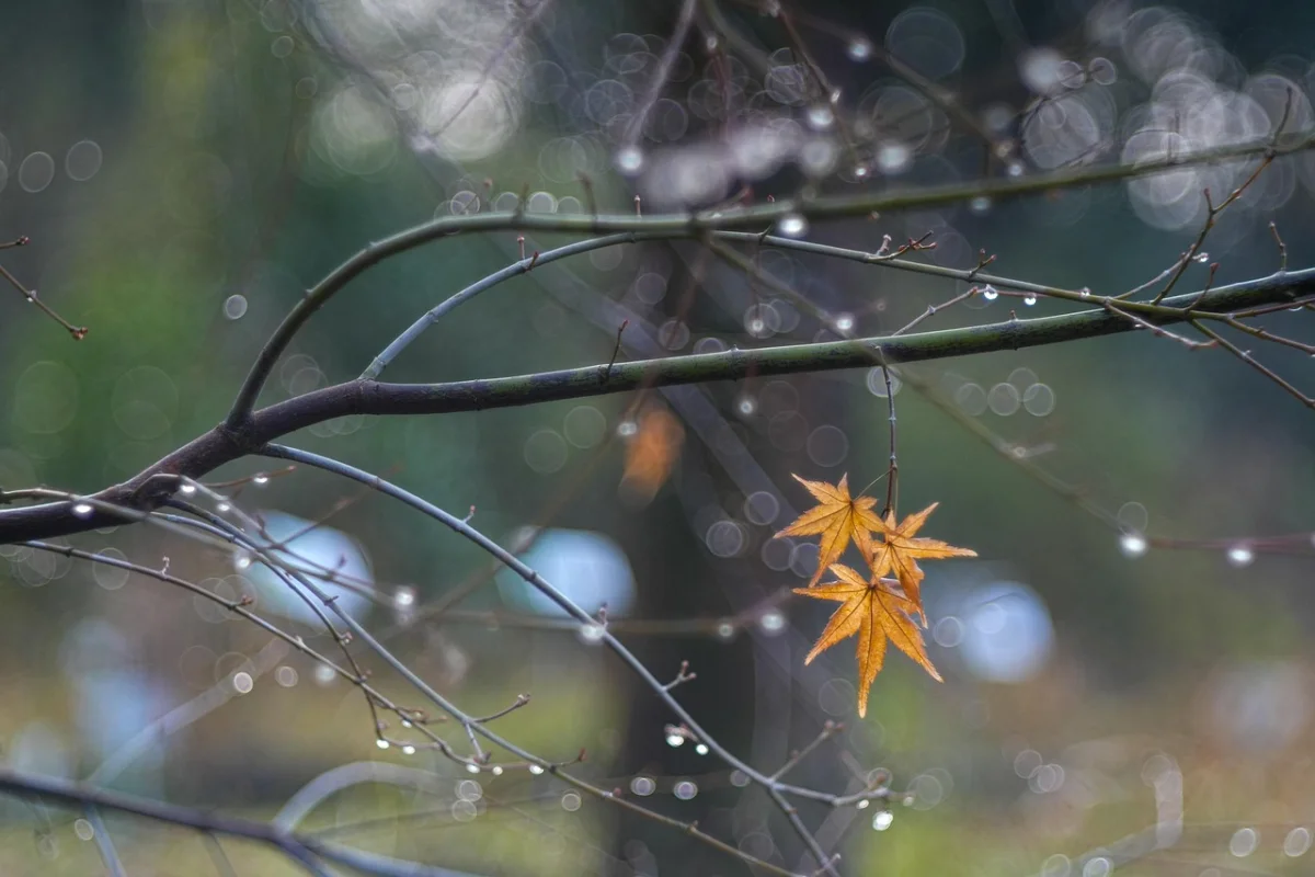 Ауа райы күрт нашарлайды