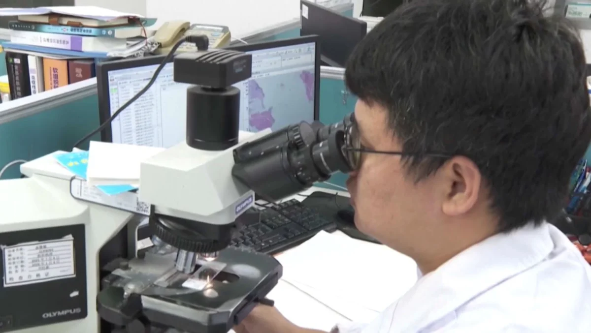 Қытайда қатерлі ісікті анықтайтын ЖИ іске қосылды