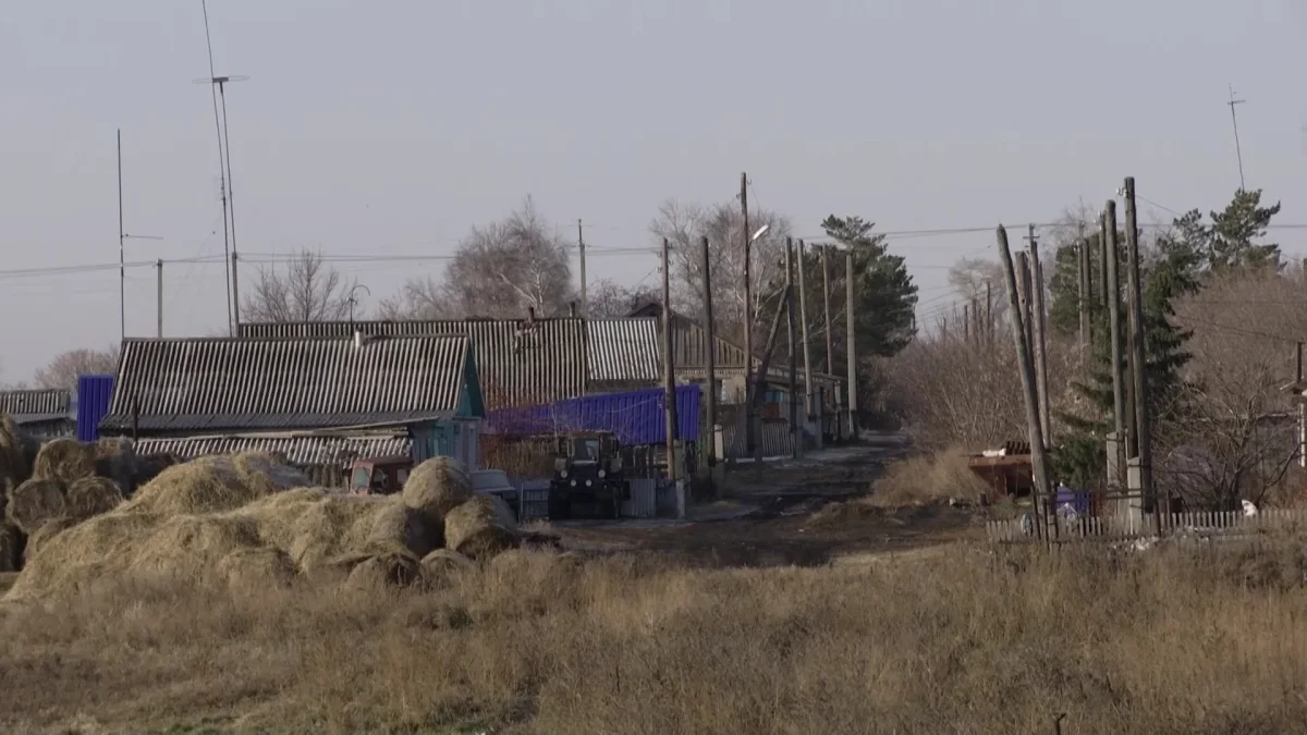 Қызылжар өңірінде жас жігіт диқанды мылтықпен атып өлтірген