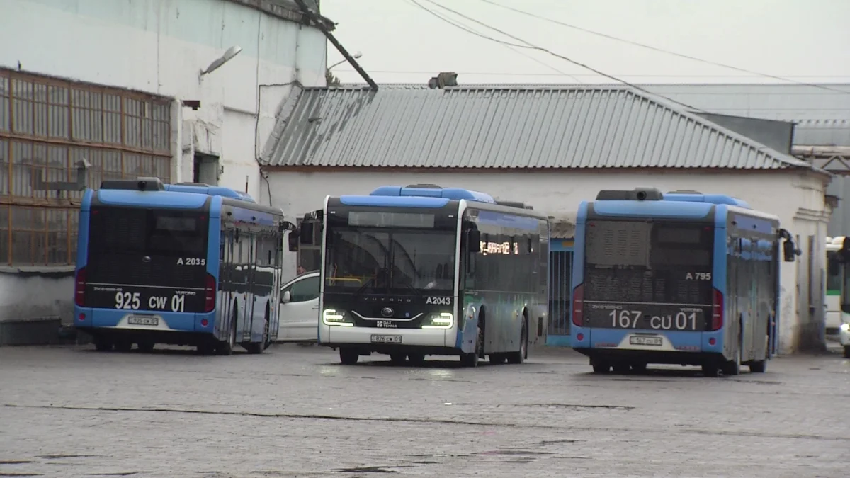 Число ДТП в Акмолинской области выросло на 13%