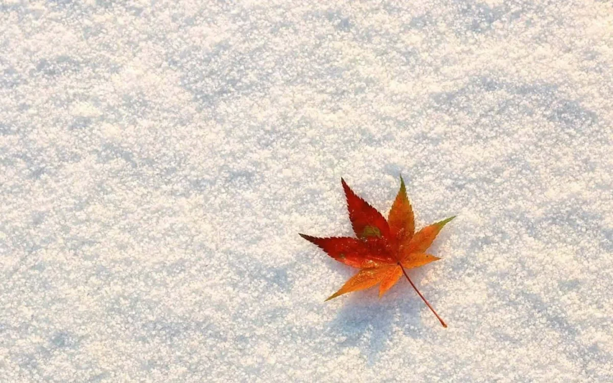 Метель в Астане, снег в Шымкенте: погода в мегаполисах во вторник, 4 ноября