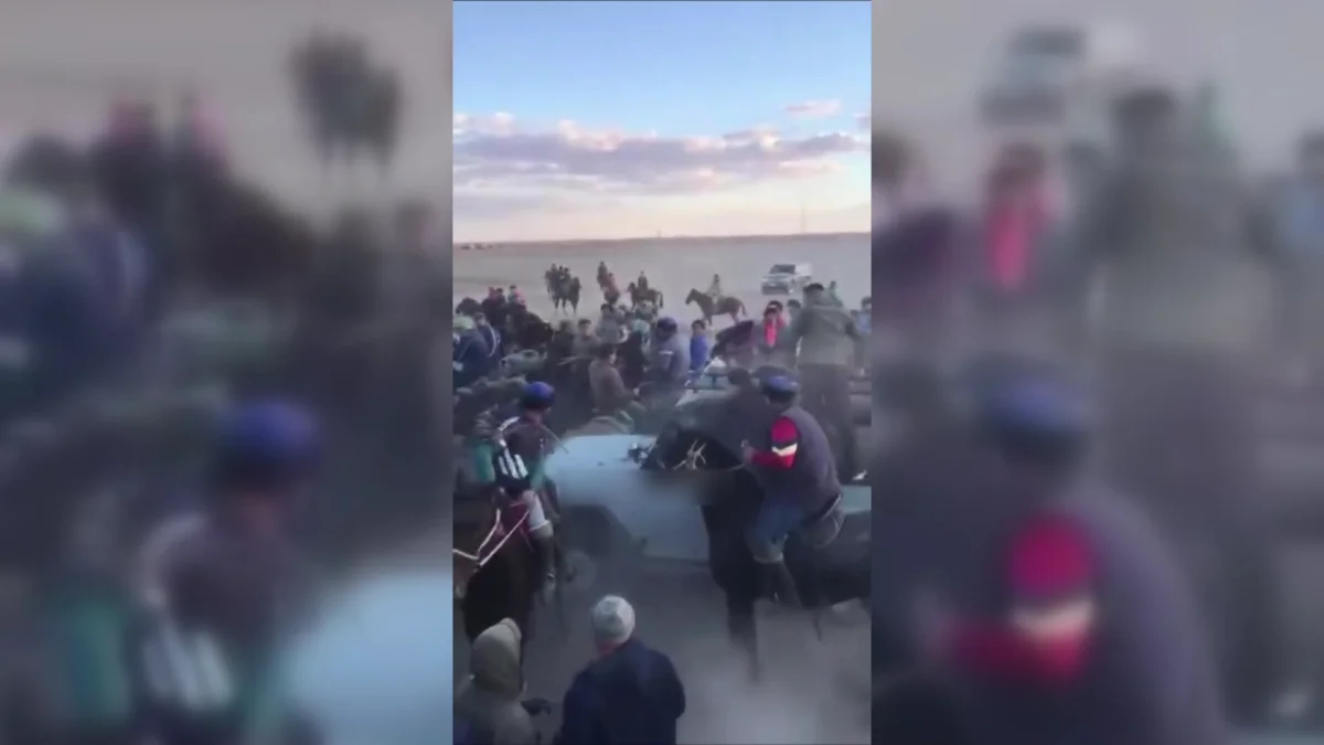 Қызылордада көкпар кезінде көлік жылқыларды қағып кетті