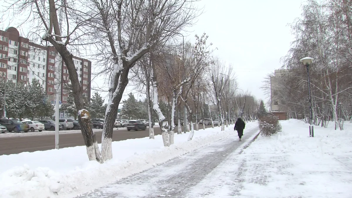 Асабалар мен риелторлар айыппұл арқалайды