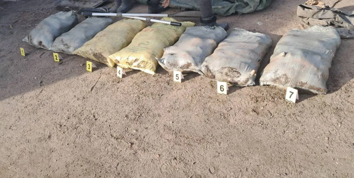 В Павлодарской области у браконьеров изъяли почти 300 кг рыбы