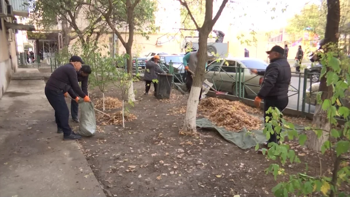 Шымкент пен Қызылордада «Таза бейсенбі» экологиялық акциясы өтті