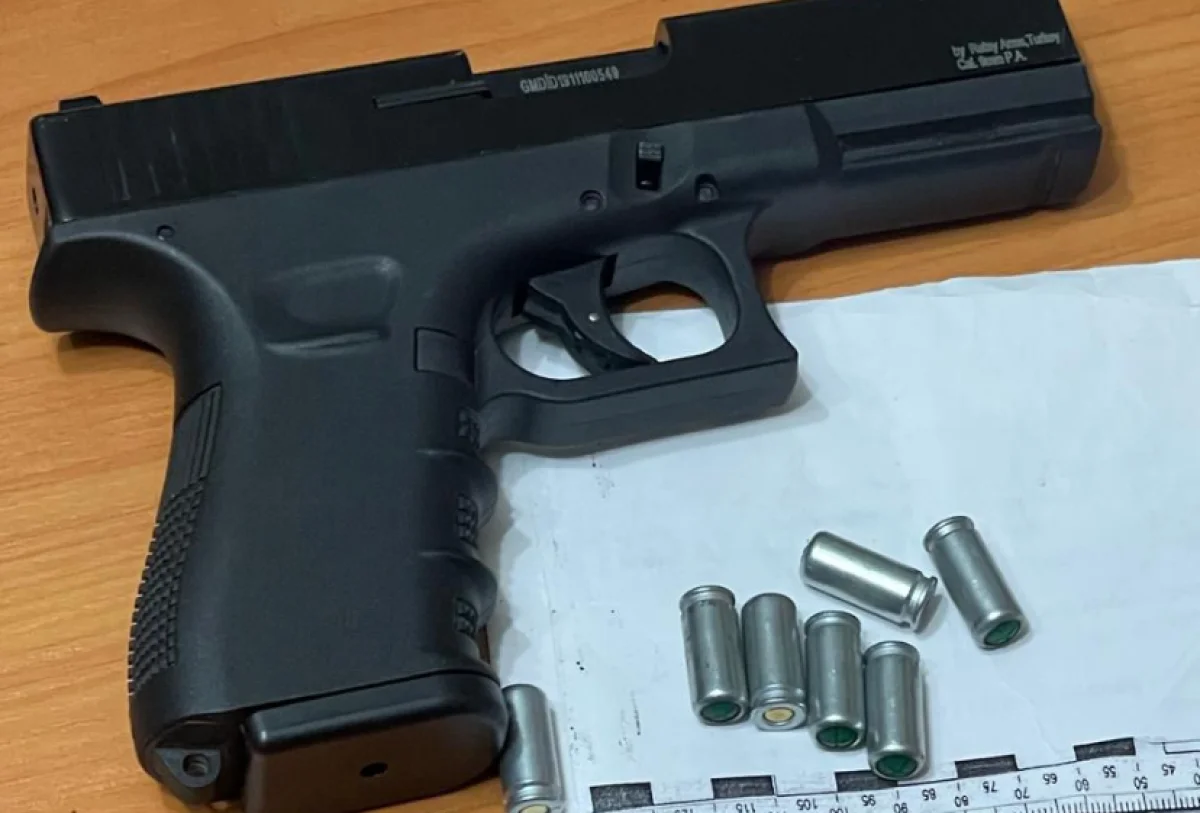 В Костанайской области изъяли оружие и патроны