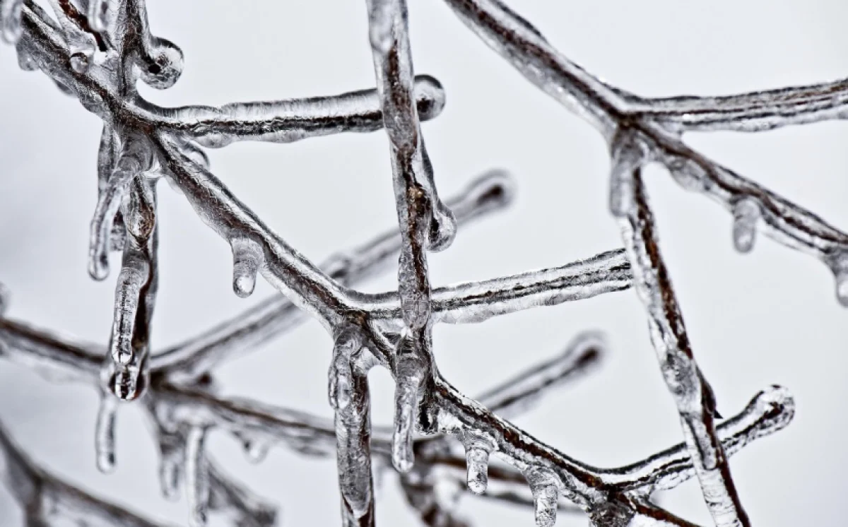 Некоторым школьникам отменили очные занятия в школах Павлодарской области из-за непогоды