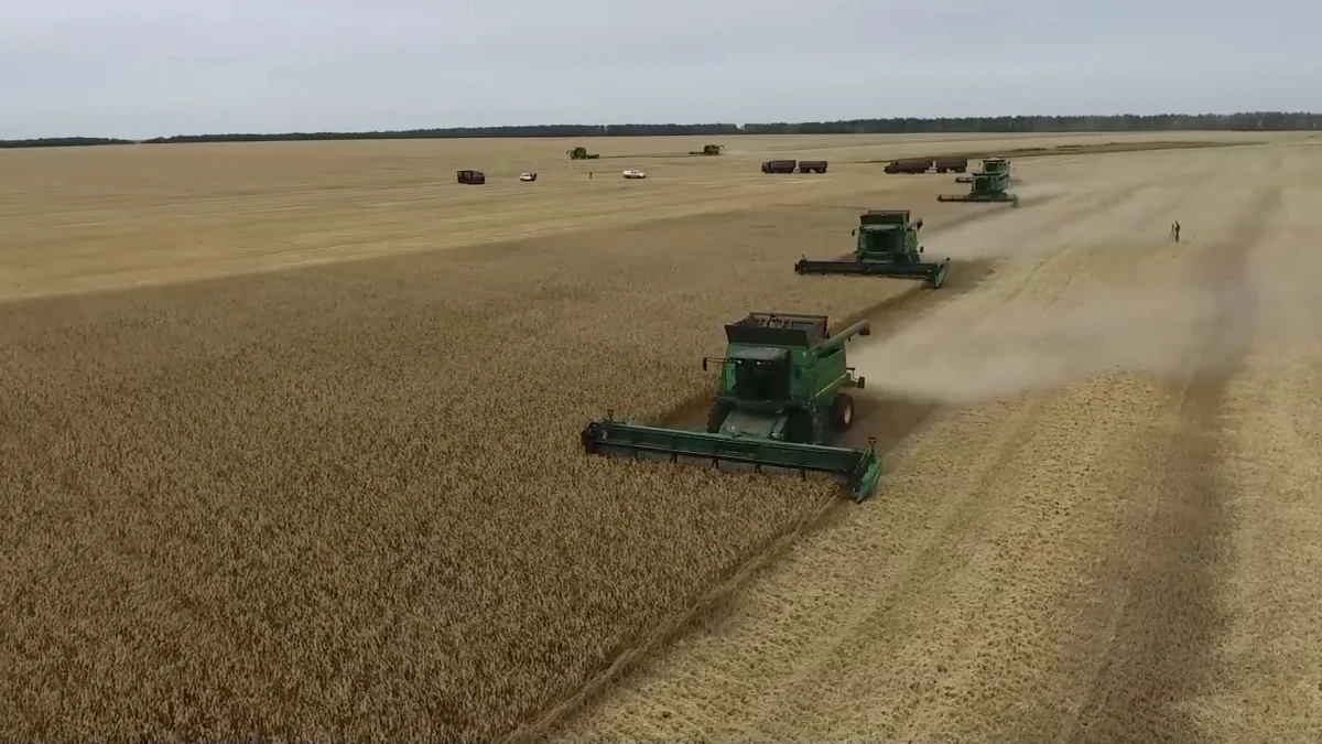 Объем льготного финансирования сельского хозяйства превысил 160 млрд тенге в СКО