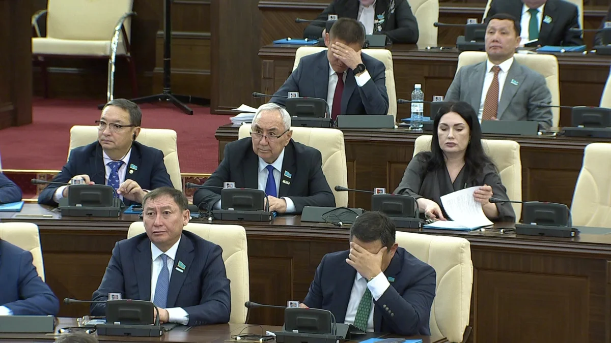 «ЭЦҚ арқылы жүкті әйелдердің атынан 217 млн теңге ұрланған», - депутат