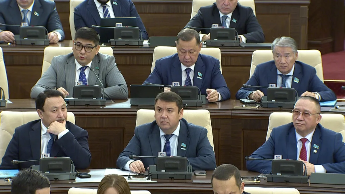 Меняется всё - что будет после принятия Цифрового кодекса?