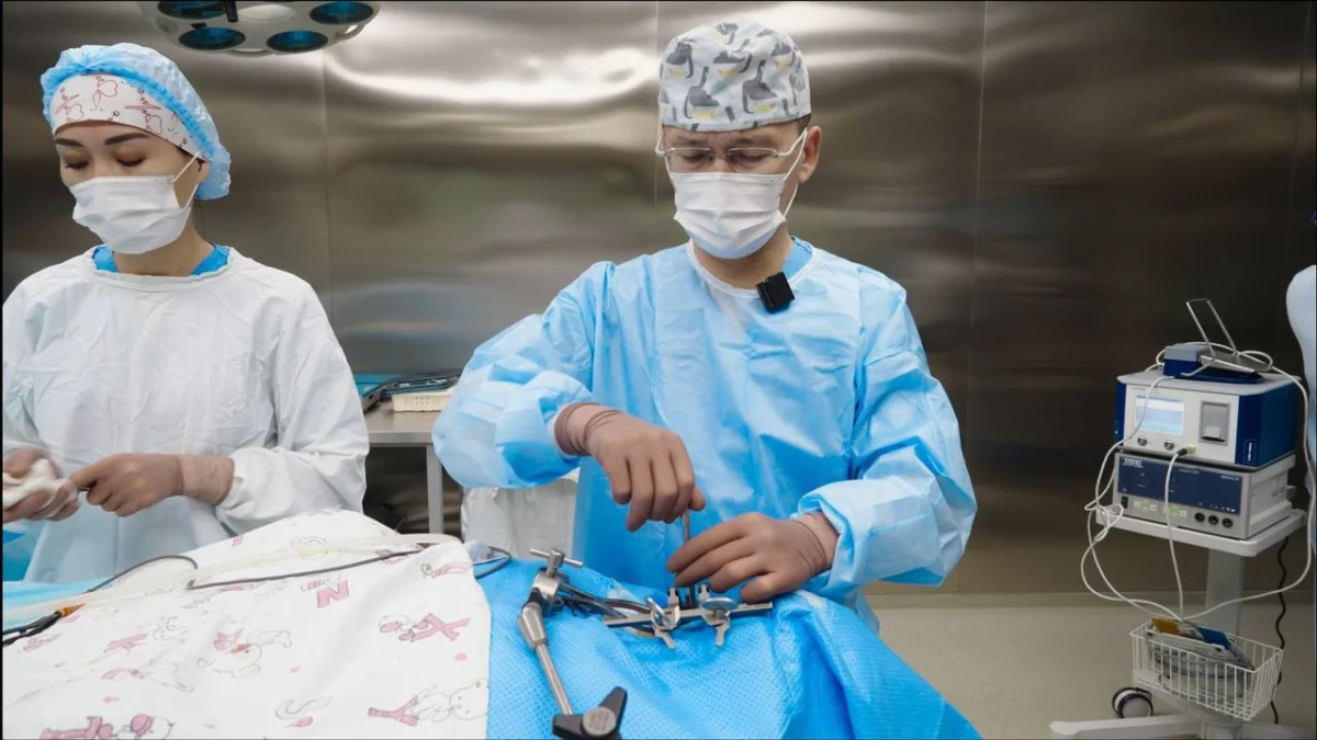 Канада азаматы Қазақстанға емделу үшін келді