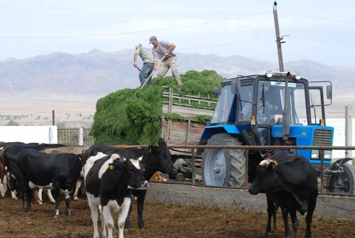 Қасым-Жомарт Тоқаев саладағы маман тапшылығы мәселесін көтерді
