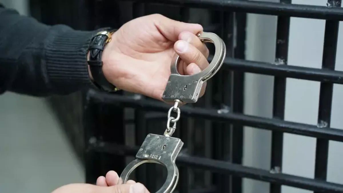 Ұлытау облысында мал ұрлығымен айналысқан қылмыстық топ ұсталды