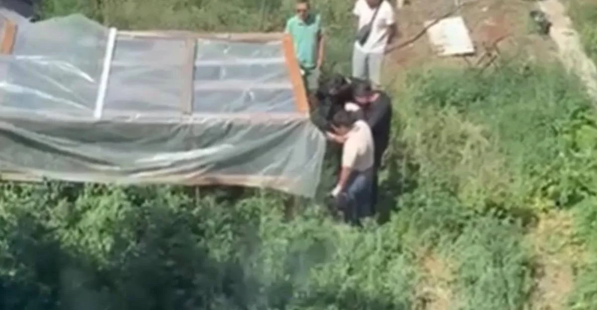 Павлодардалық тұрғыннан каннабис бұталары тәркіленді