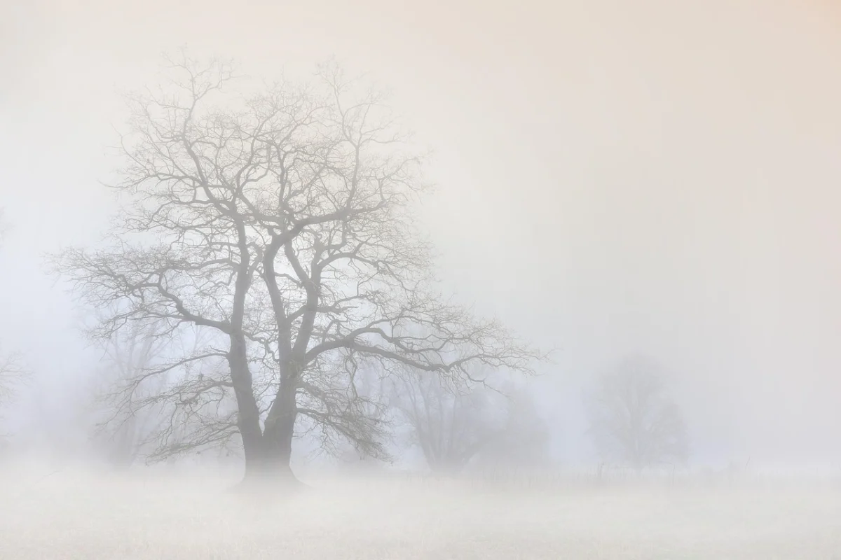 Тұман түсіп, көктайғақ болады: дауылды ескерту жарияланды