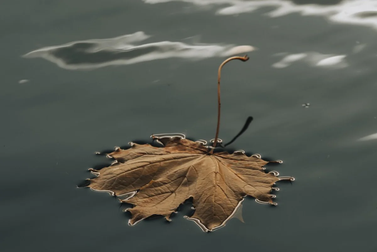 Тёплый понедельник обещают синоптики жителям мегаполисов Казахстана