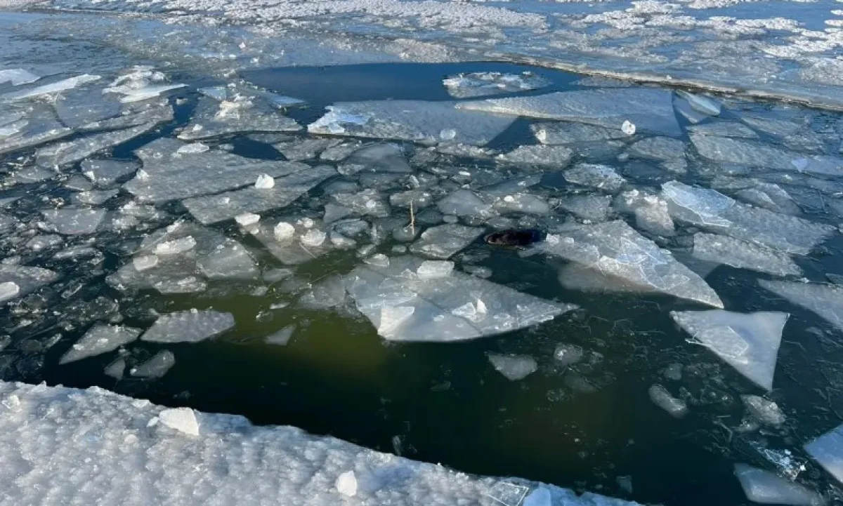 Құтқарушылар Астана тұрғындарына ескерту жасады