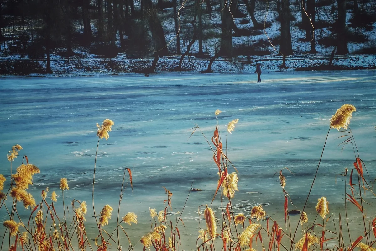 Үш бала мұз астына түсіп кетті