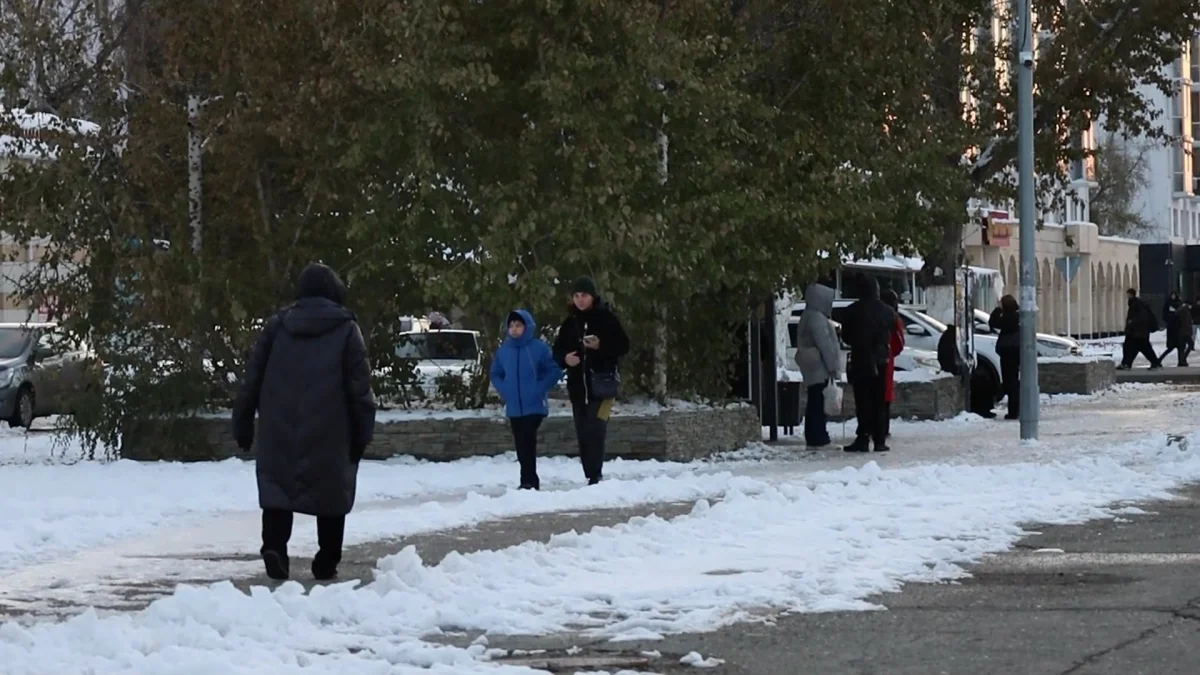 Павлодарда баласына алимент төлемеген безбүйрек ана ұсталынды