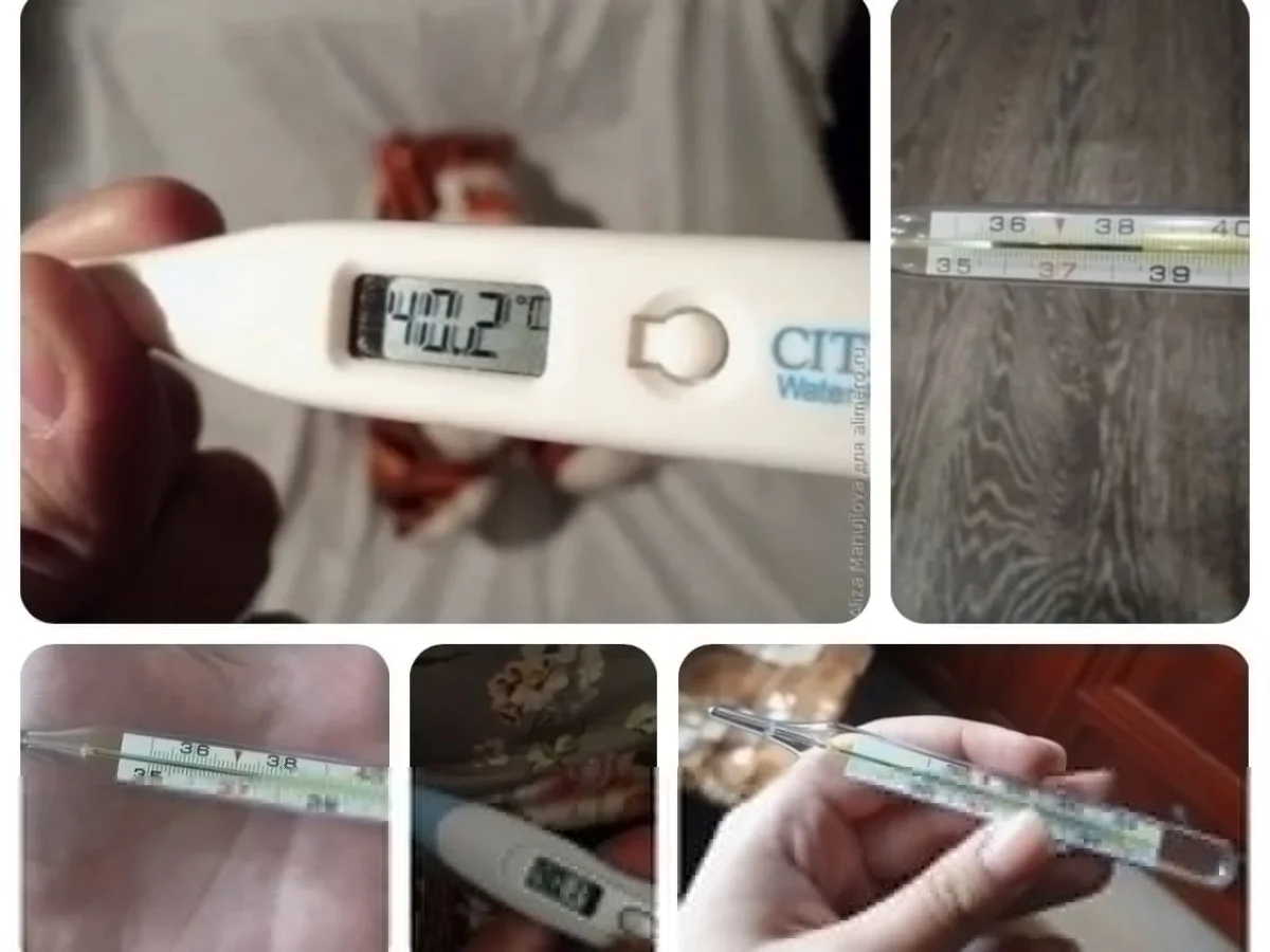 Не надо паники: Минздрав опроверг информацию о «новом штамме гриппа» в Казахстане