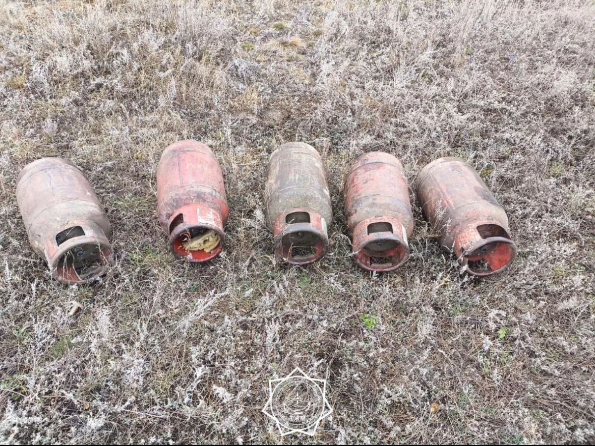 ТЖМ қызметкерлері өрт кезінде 6 газ баллонын шығарды