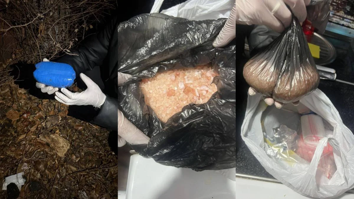 В ВКО задержан наркосбытчик с более чем 1,5 кг психотропных веществ (ВИДЕО)