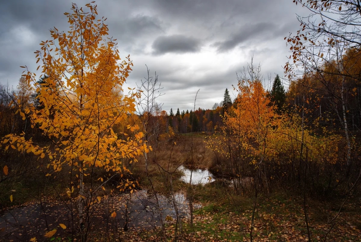 Прогноз погоды на 21 ноября 2025 года в городах Казахстана