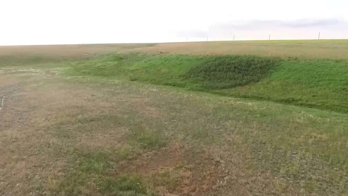 БҚО-да 500 мың гектардай жер мемлекет меншігіне қайтарылды