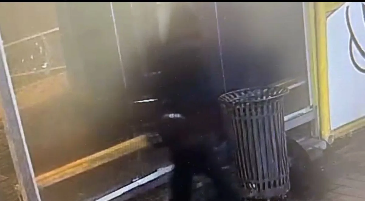 Елордада аялдама павильонына зиян келтірген екі тұрғын анықталды