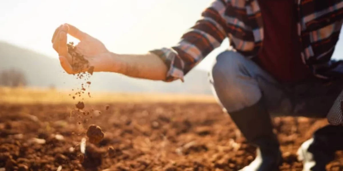 Абай облысында 171,2 мың гектар жер мемлекетке қайтарылды