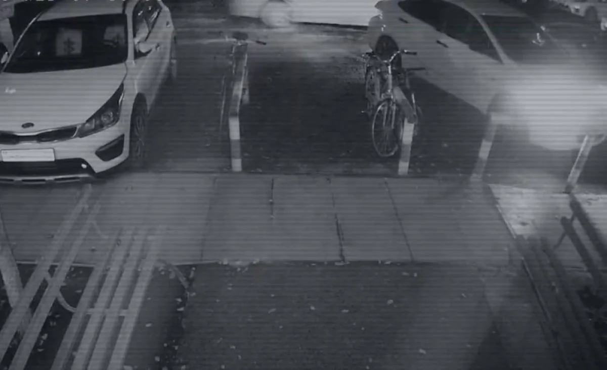 Запись с последними минутами жизни Яны Легкодимовой опубликовали в МВД