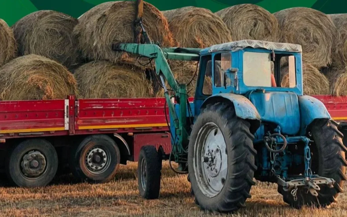 40 млн тонна мал азығы жиналды