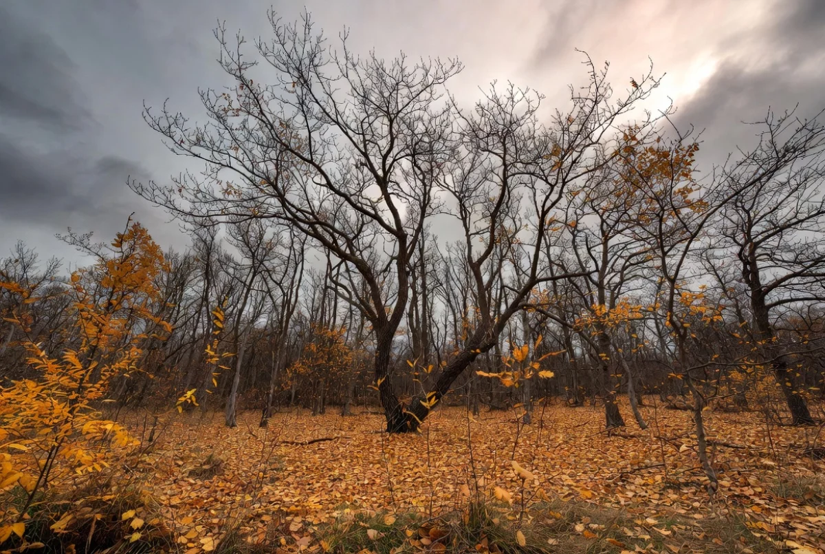 Прогноз погоды на 27 ноября 2025