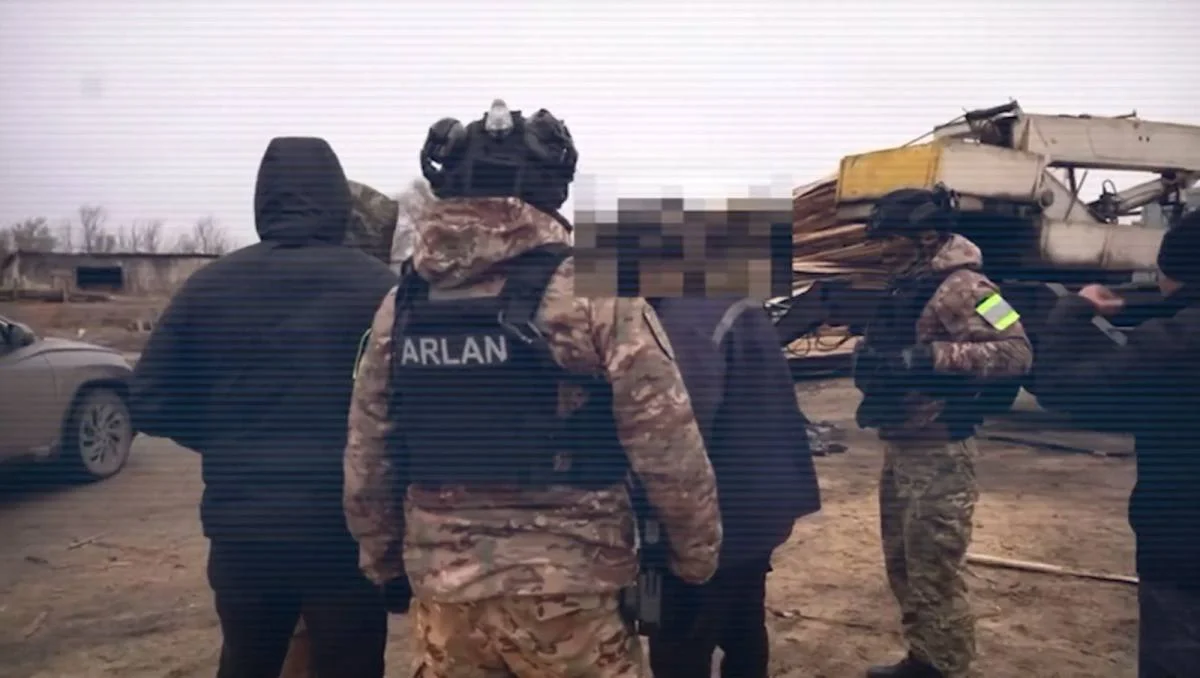 ІІМ: Қостанай облысында орманды заңсыз кесу схемасы әшкереленді