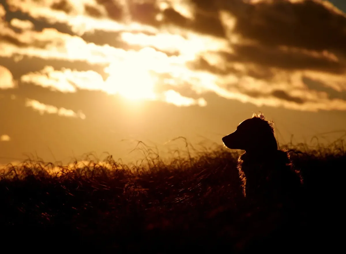 Погоду без осадков прогнозируют во всех мегаполисах в пятницу, 28 ноября