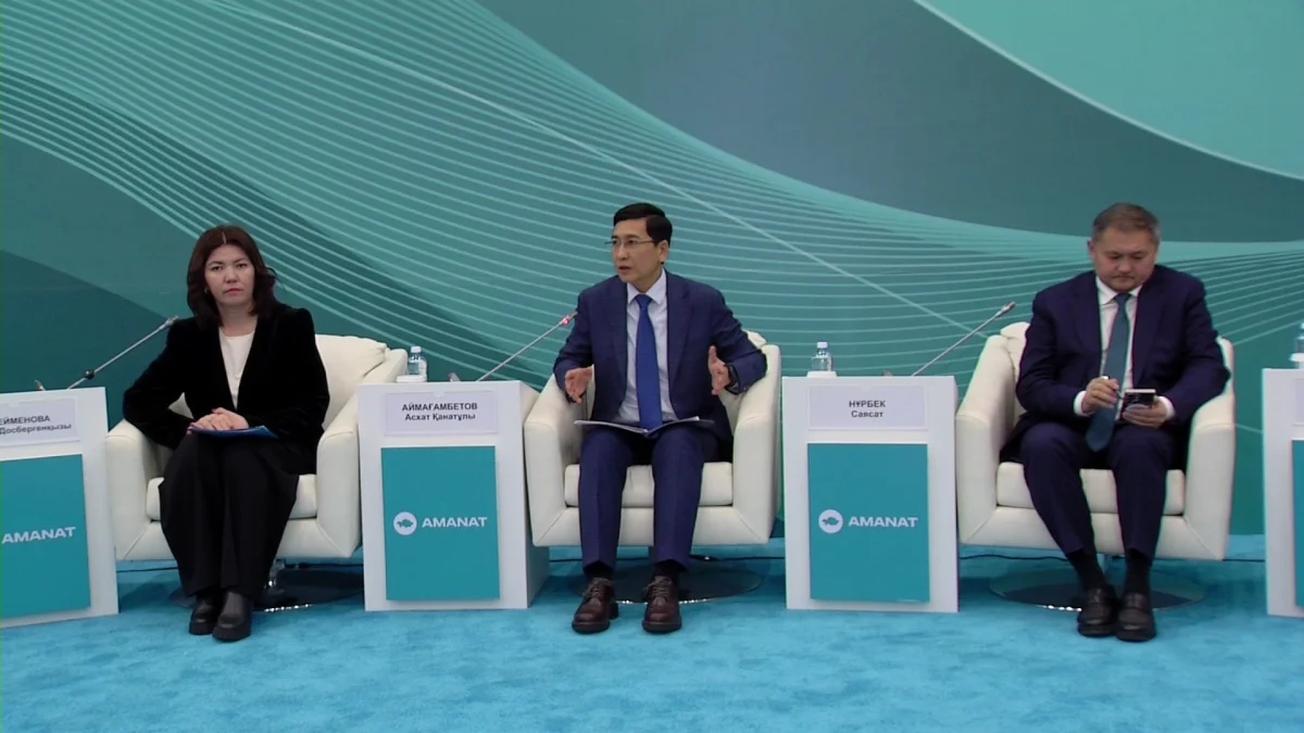 Министрлер ауыл әкімдерінің сұрақтарына жауап берді