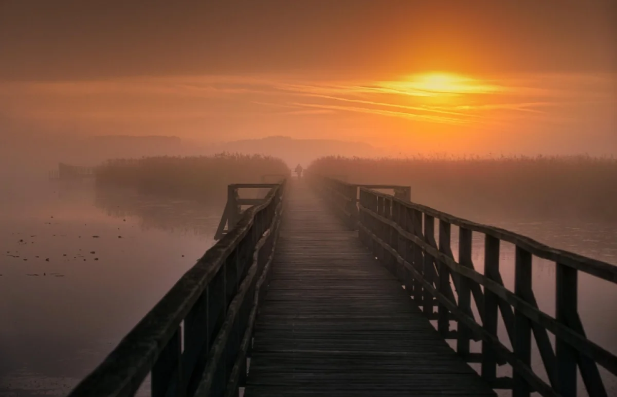 Туман над страной: МЧС предупреждает о сложных погодных условиях в большинстве регионов