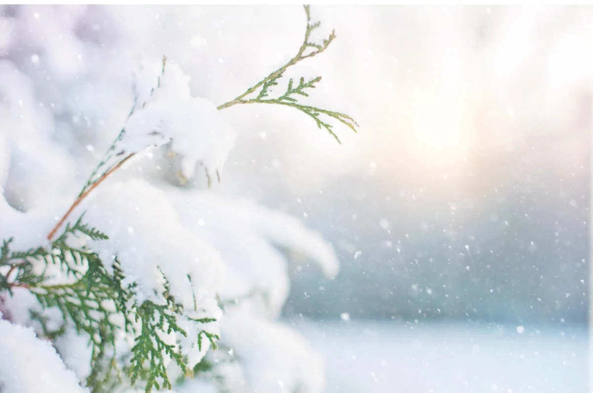 Снег будет, мороз тоже: синоптики рассказали о погоде в Казахстане в декабре