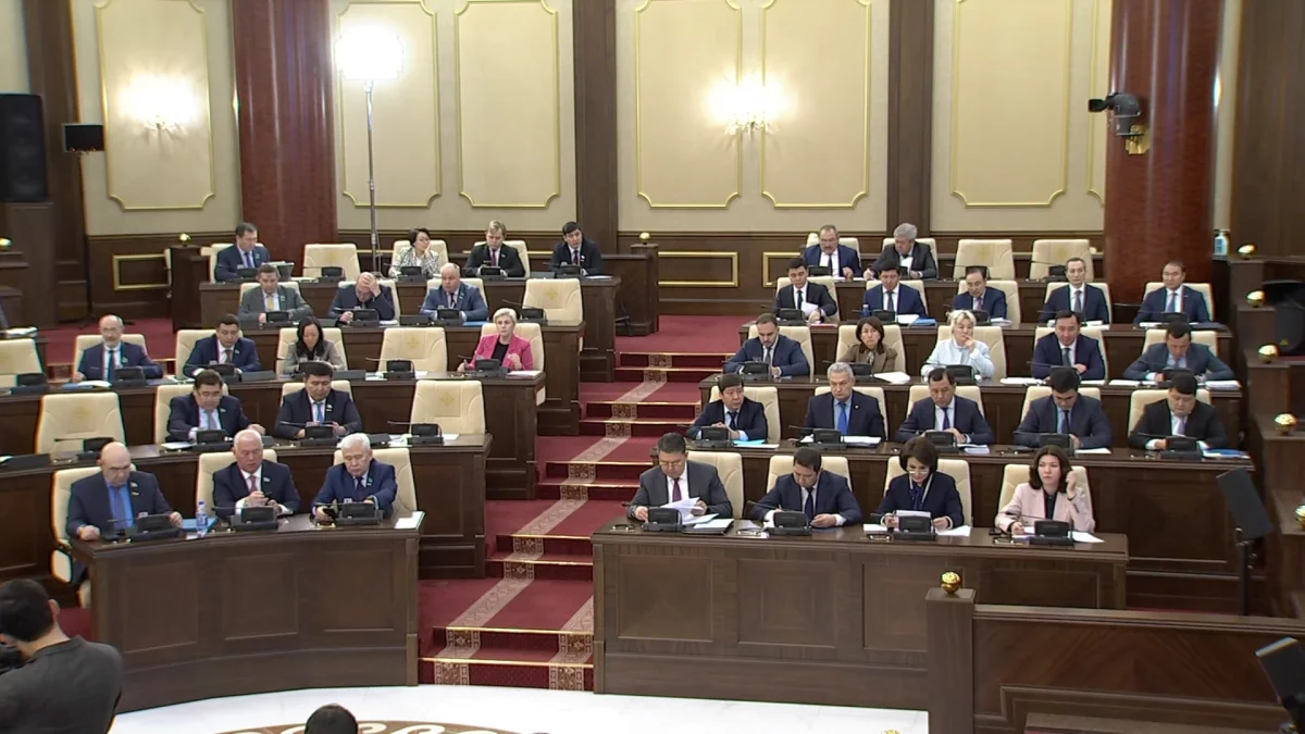 В Казахстане могут отменить выборы районных акимов