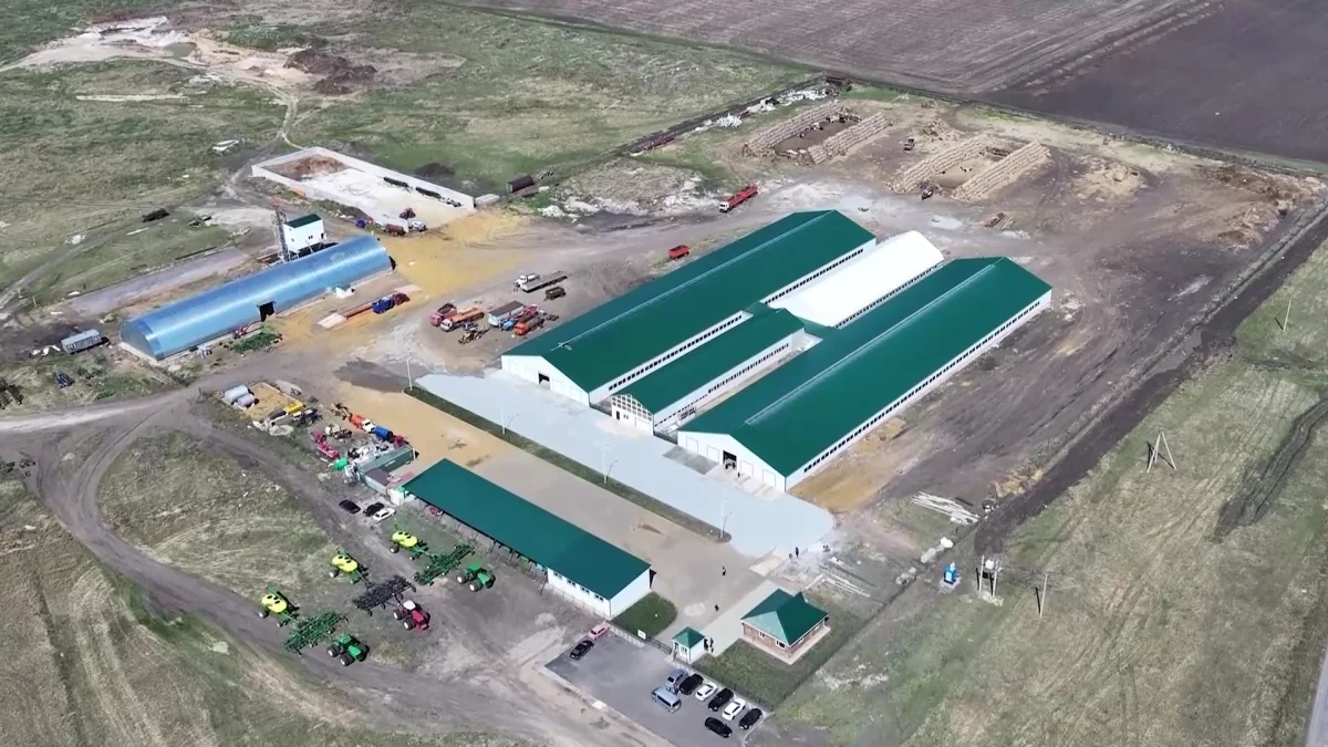 4 умных молочно-товарных фермы введено в Костанайской области в этом году