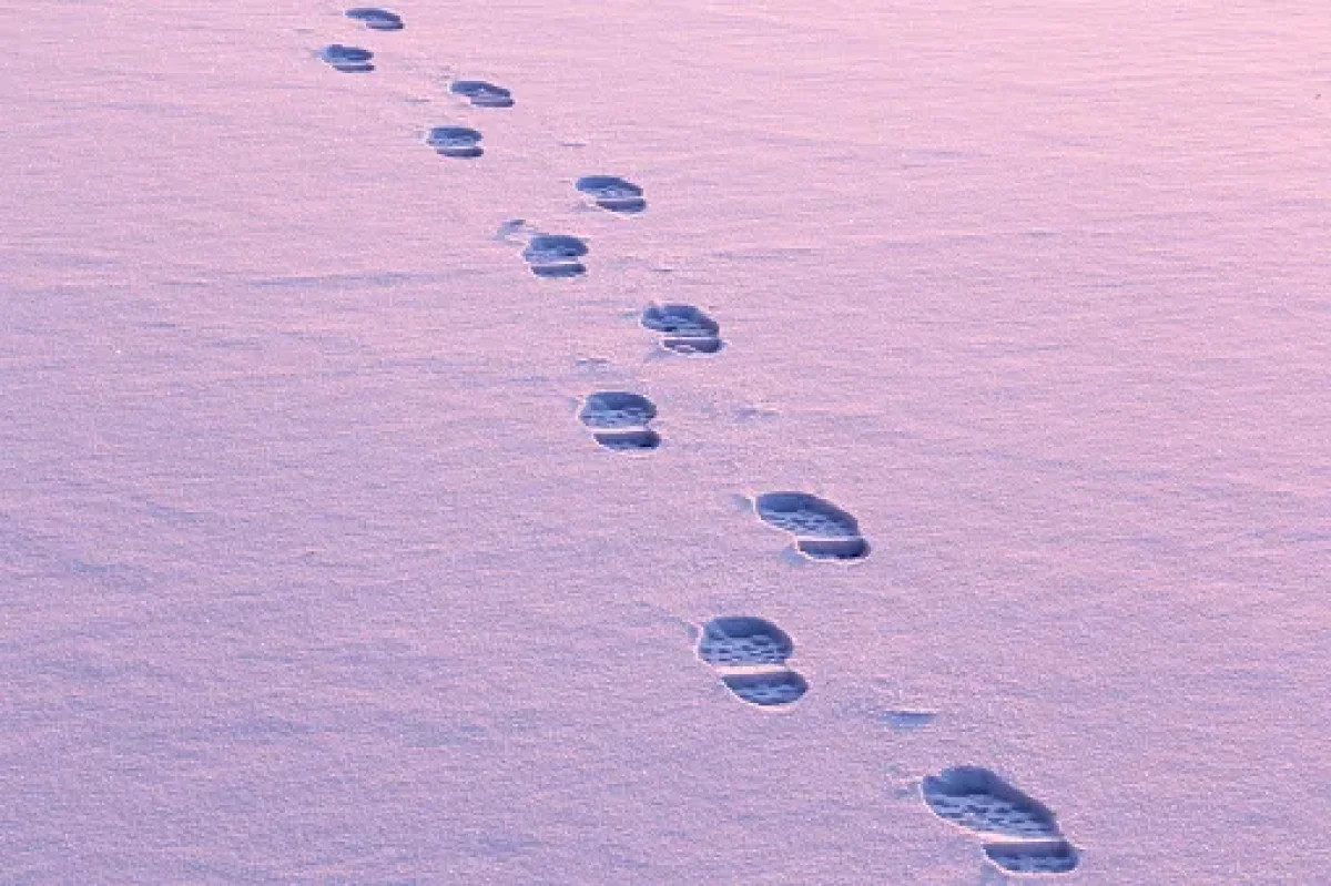 В Шымкенте дождь, в Астане снег: погода в четверг, 4 декабря