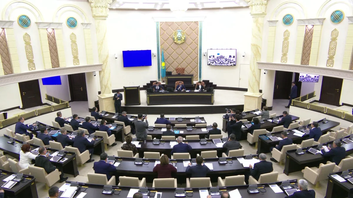 Послабления для зарубежных инвесторов в сфере недропользования в Казахстане одобрил сенат