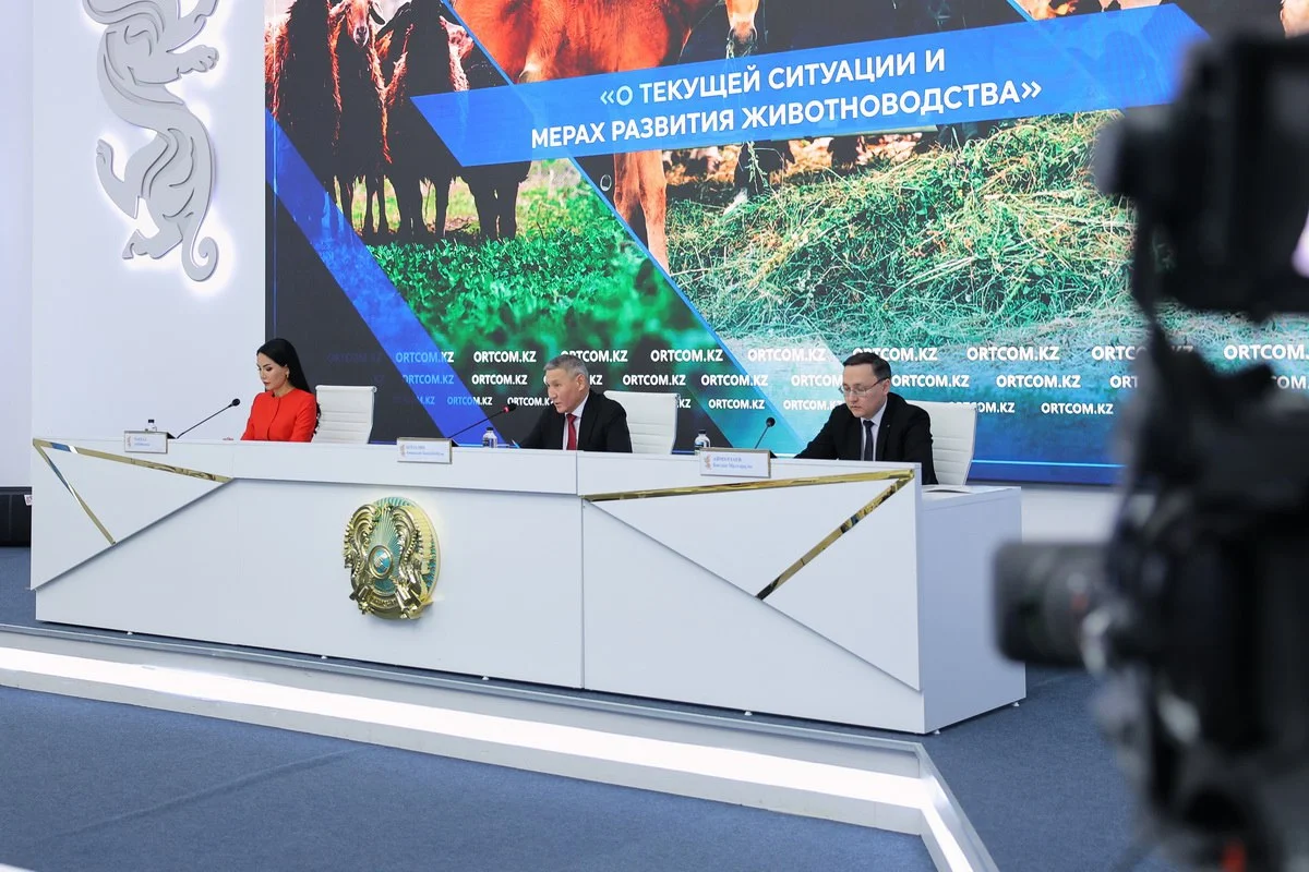 Қазақстанда етті мал шаруашылығының австралиялық моделі енгізіліп жатыр