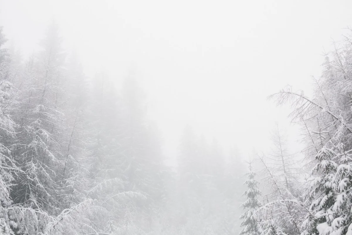 Погода на 9 декабря 2025